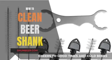 Mastering the Art of Beer Shank Cleaning: A Step-by-Step Guide