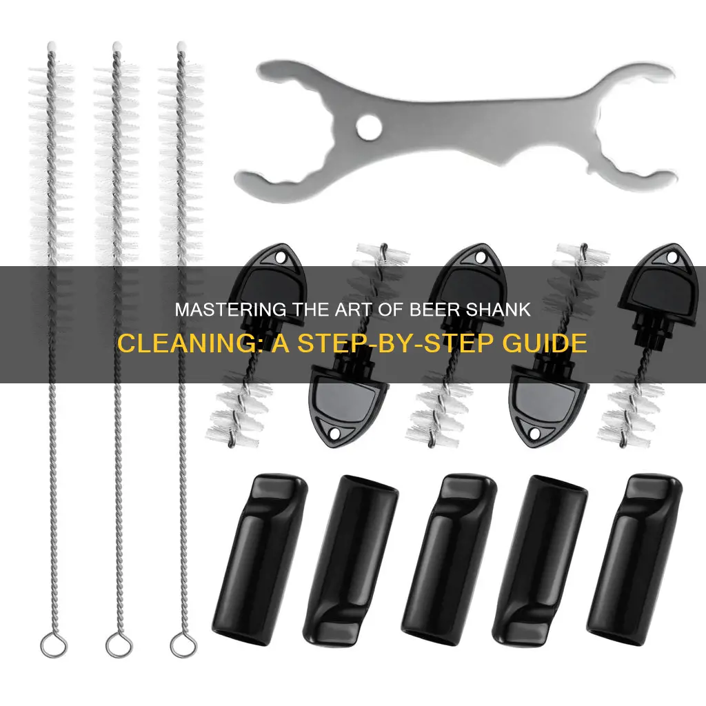 Mastering The Art Of Beer Shank Cleaning: A Step-By-Step Guide | ShunBeer