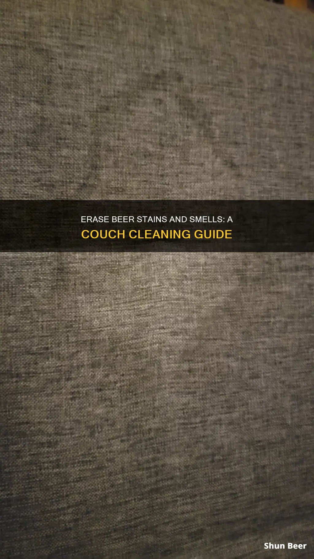 how to clean beer smell out of couch