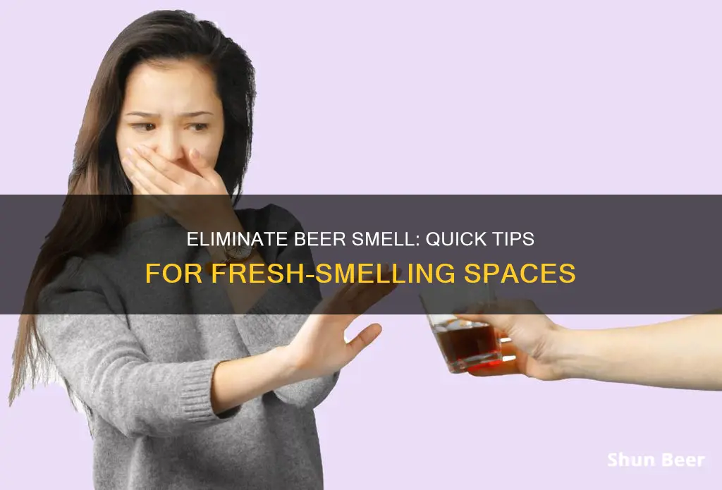 how to clean beer smell