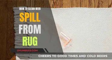 Beer Spill? No Problem! Quick Tips for Rug Rescue