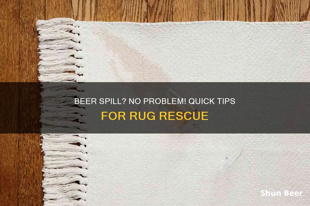 how to clean beer spill from rug