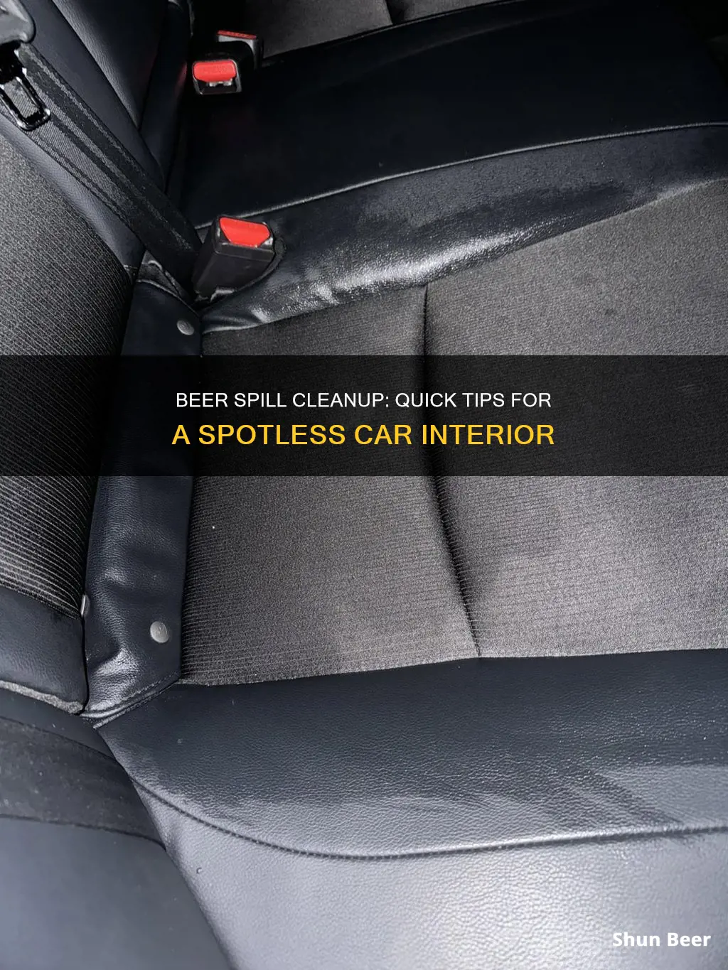 how to clean beer spill in car