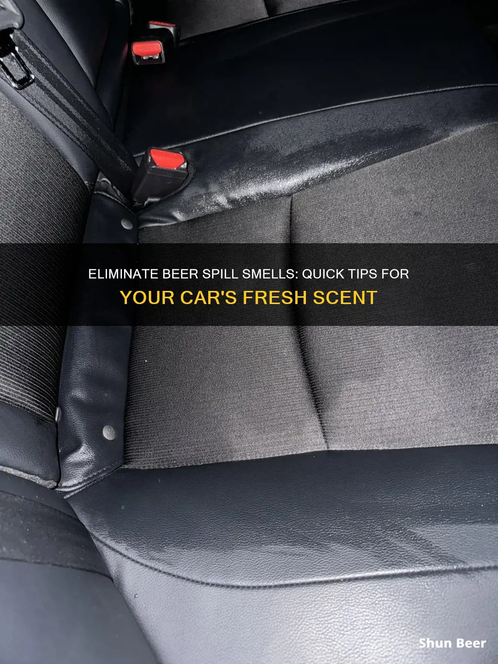 how to clean beer spill odor in car