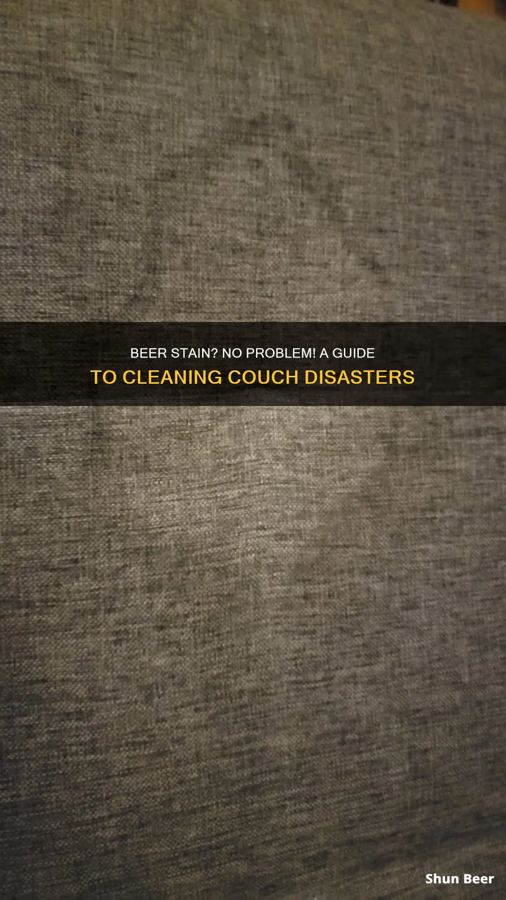 how to clean beer stain from couch