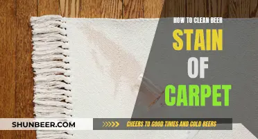 Beer Stain No More: Effective Carpet Cleaning Tips