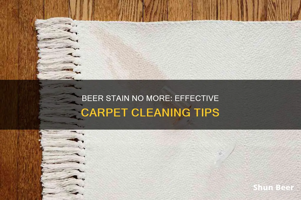 how to clean beer stain of carpet