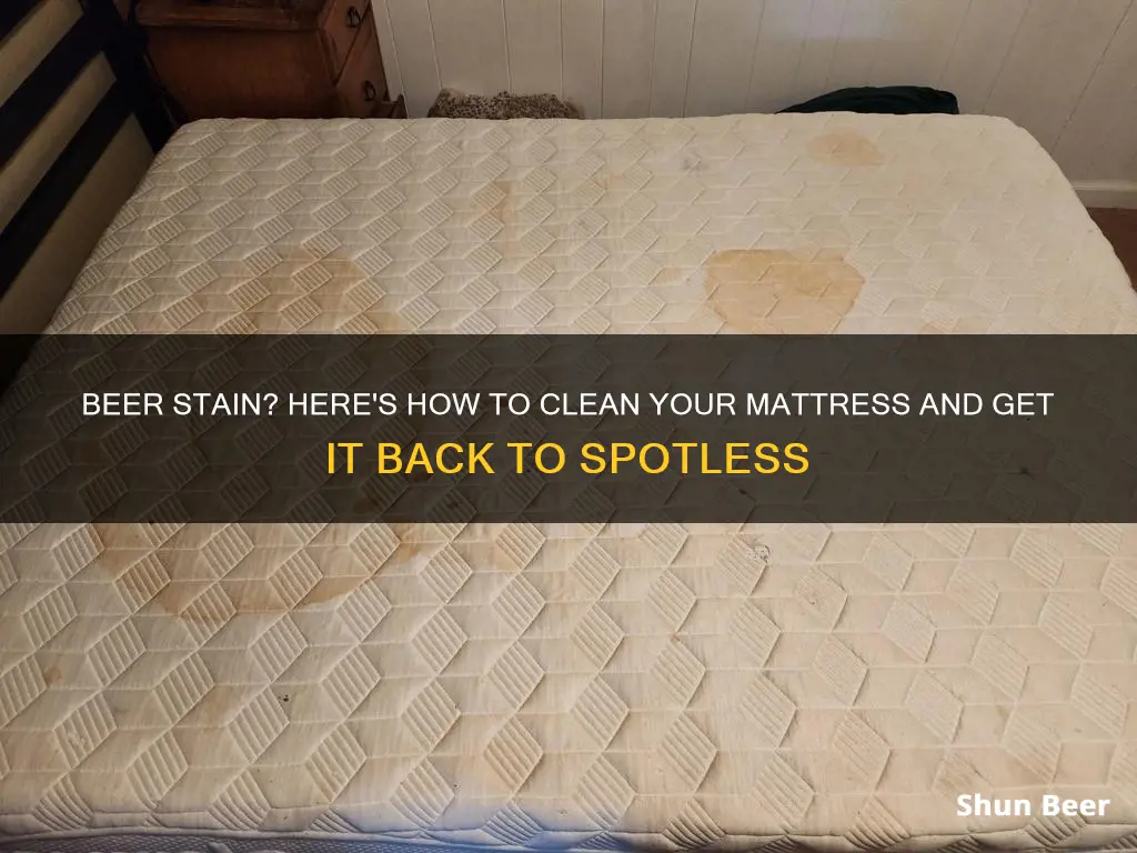 how to clean beer stain off mattress