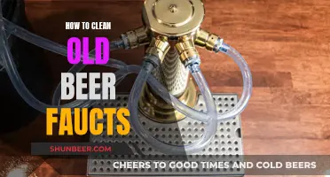 Unclogging the Past: A Guide to Cleaning Old Beer Faucets