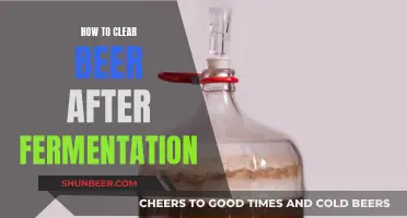 Mastering the Art of Beer Clearing: Post-Fermentation Techniques