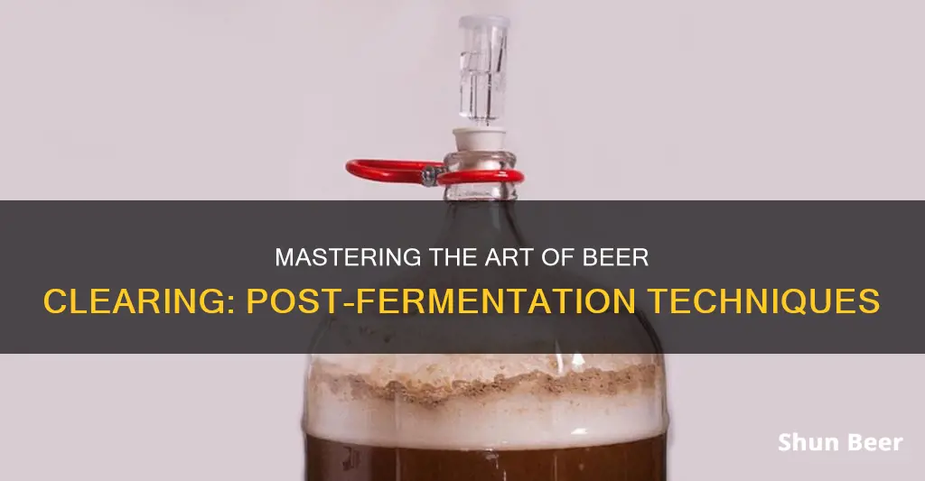 how to clear beer after fermentation