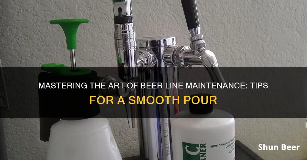 how to clear beer lines