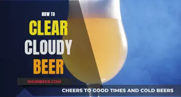 Cloudy Beer? Here's How to Clear It Up!