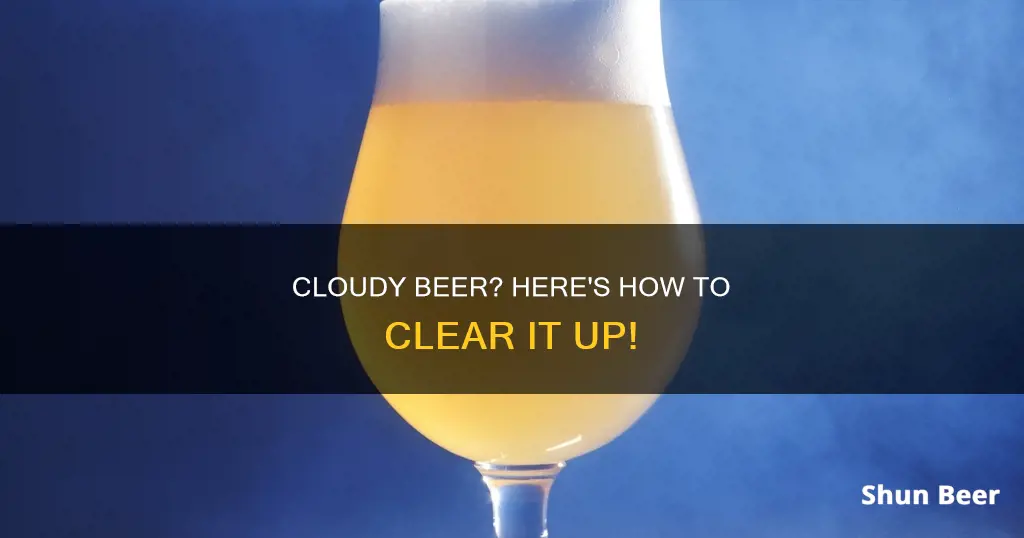 how to clear cloudy beer