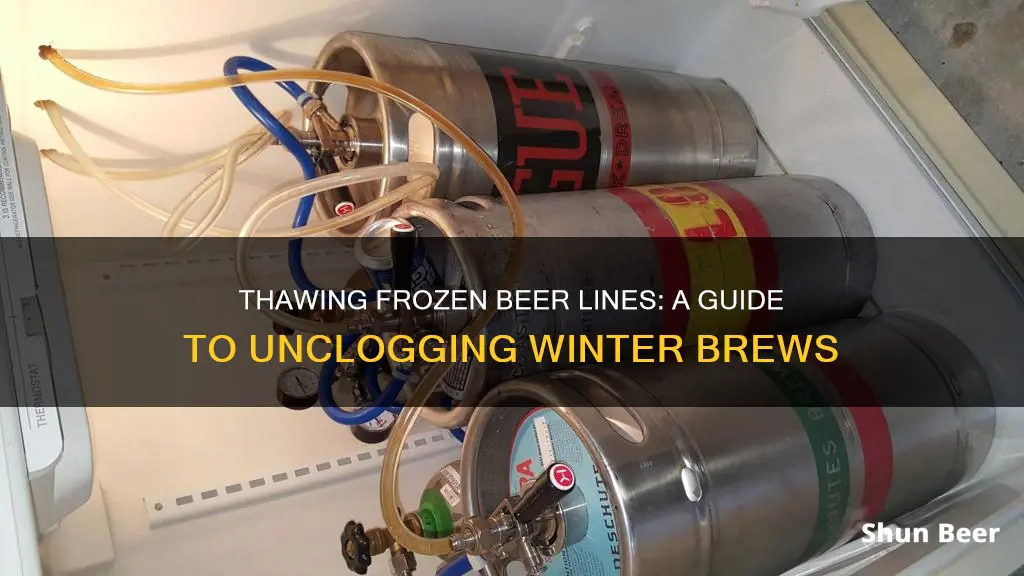 how to clear frozen beer lines