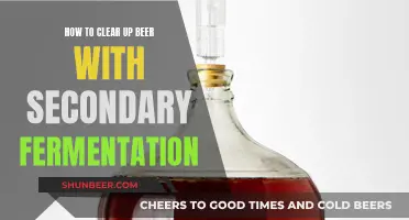 Mastering Secondary Fermentation: Tips for Beer Clarity and Flavor