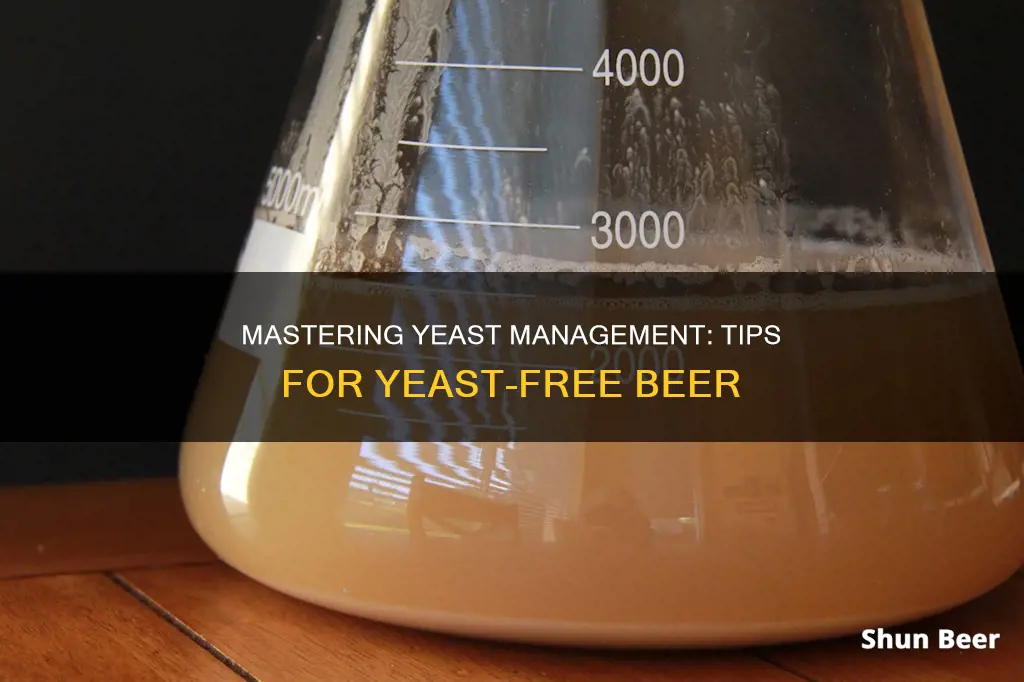 how to clear yeast from beer