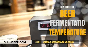 Mastering Beer's Magic: Tips for Fermentation Temperature Control