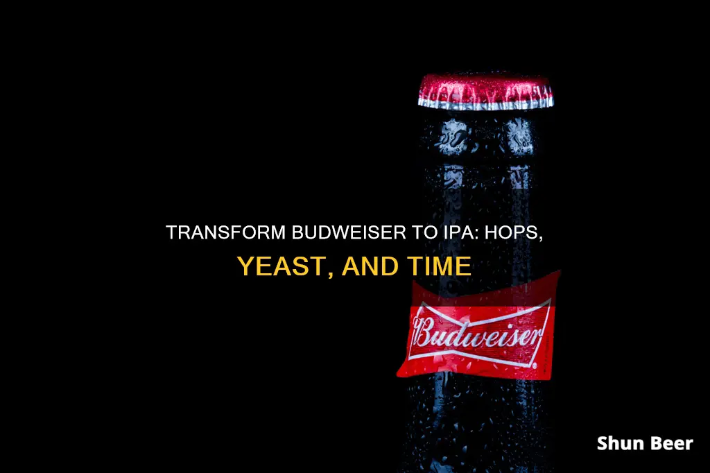 how to convert budweiser beer to ipa