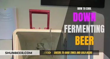 Mastering Beer Fermentation: Tips to Keep Your Brew Cool and Crisp