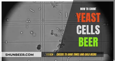 Mastering Yeast Cell Counting: A Guide to Beer Fermentation Success