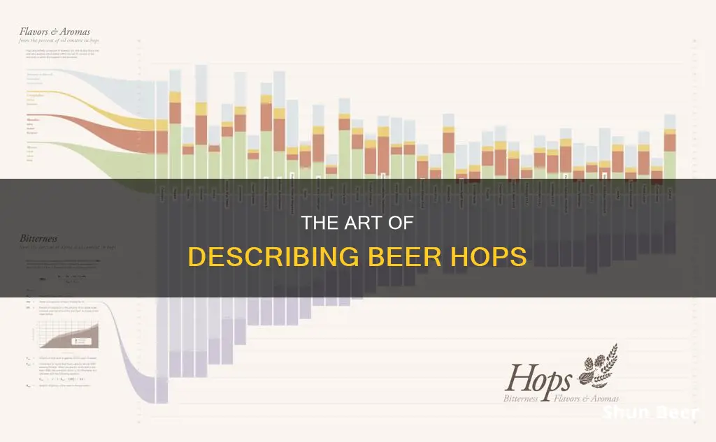 how to describe hops in beer