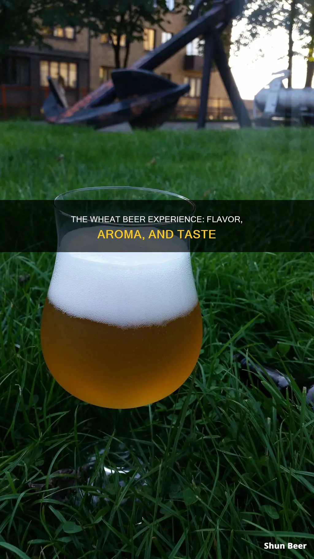 how to describe wheat beer