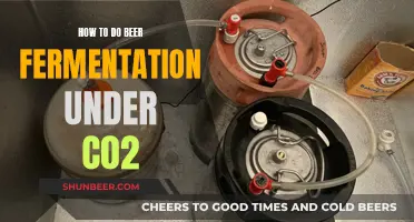 Mastering Beer Fermentation: A Guide to CO2 Fermentation Techniques