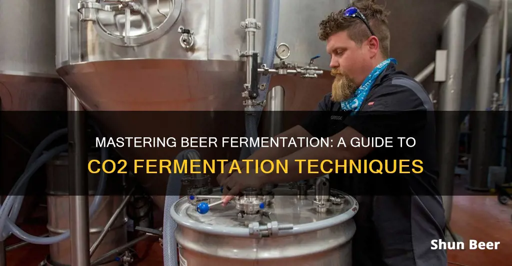 how to do beer fermentation under c02