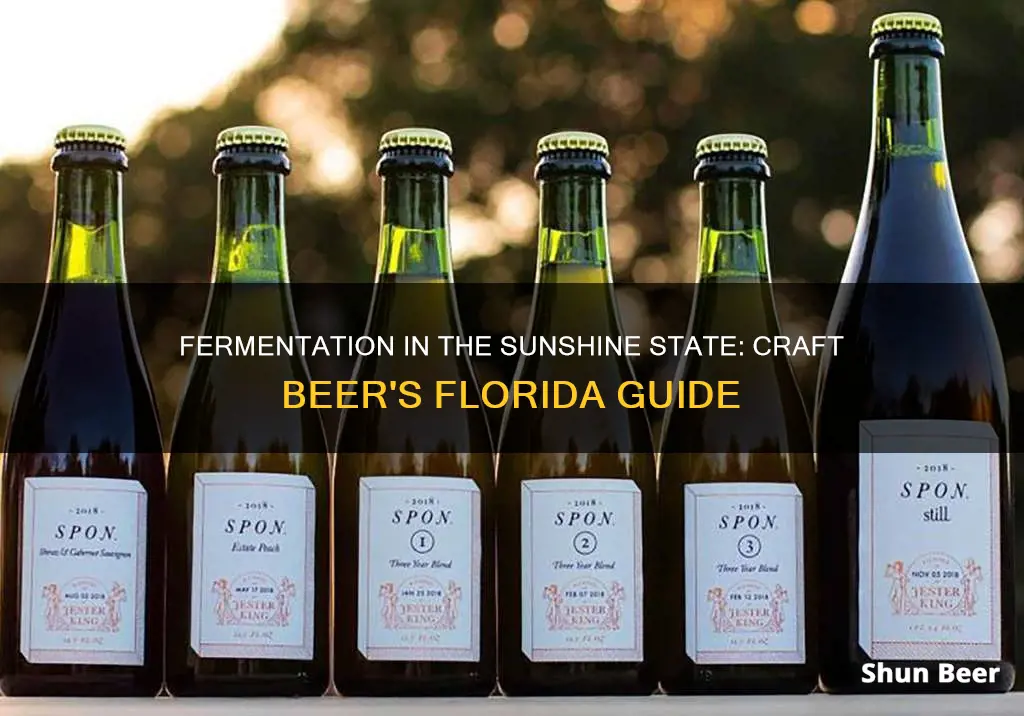 how to do fermentation in flroida for beer