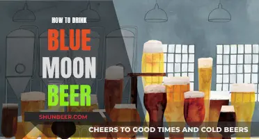 The Blue Moon Beer Experience: A Beginner's Guide