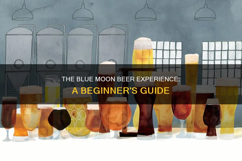 how to drink blue moon beer