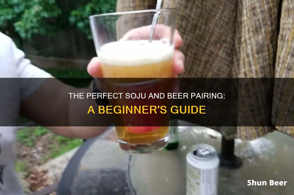 how to drink soju with beer