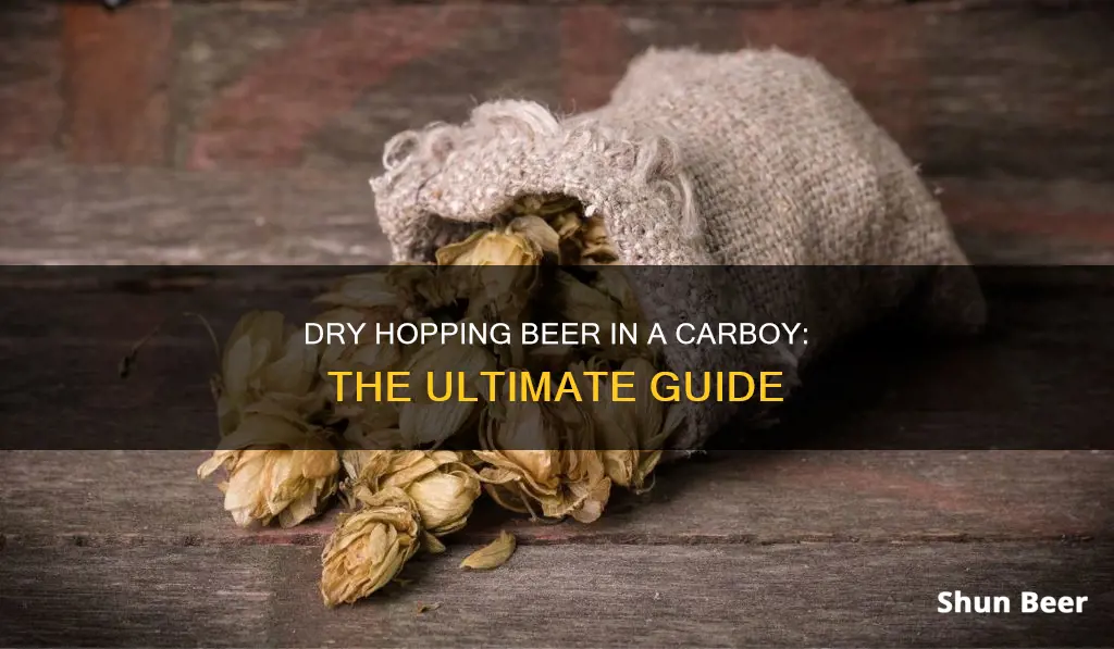 how to dry hop beer in a carboy