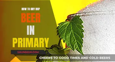 Dry Hopping in Primary: A Guide for Beer Brewers