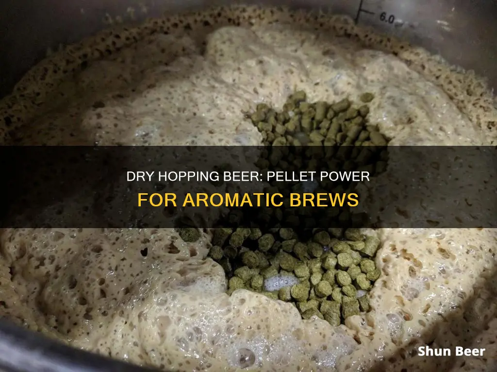 how to dry hop beer with pellets