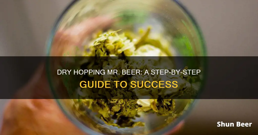 how to dry hop mr beer