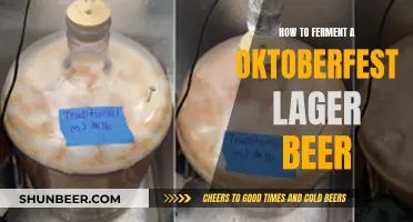 Mastering Oktoberfest: Your Guide to Fermenting Lager Beer