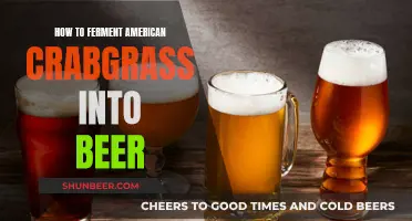 Brewing Beer from American Crabgrass: A Fermentation Guide