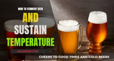 Mastering Fermentation: Tips for Brewing Beer at Optimal Temperatures