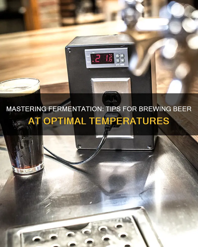 how to ferment beer and sustain temperature