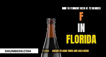 Fermenting Beer in Florida Heat: Tips for Success at 72°F