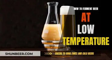 Fermenting Beer at Low Temps: Tips for Cold-Weather Brewing