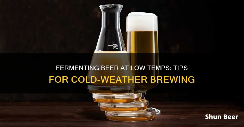 how to ferment beer at low temperatures