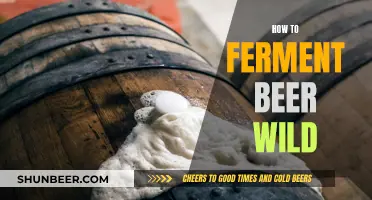 Unleash Your Inner Brewer: Wild Fermentation Beer Guide