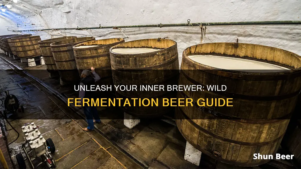 how to ferment beer wild