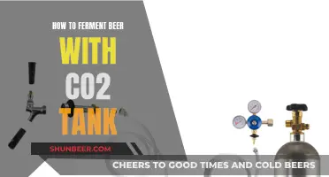 Fermenting Beer with CO2 Tanks: A Comprehensive Guide