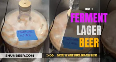 Fermenting Lager Beer: A Step-by-Step Guide to Crafting the Perfect Brew