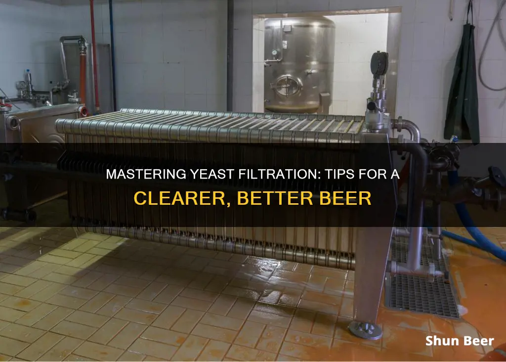 how to filter yeast from beer