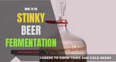 Brewing Bliss: Troubleshooting Stinky Beer Fermentation